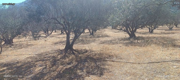 Αγροτεμάχια 18.000 τ.μ. για πώληση, Ν. Λασιθίου, Ιεράπετρα