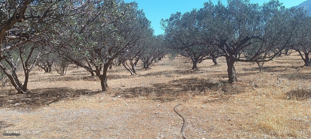 Αγροτεμάχια 18.000 τ.μ. πρός πώληση, Ν. Λασιθίου, Ιεράπετρα