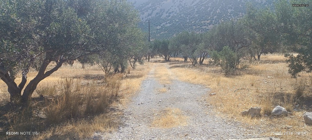 Αγροτεμάχια 18.000 τ.μ. πρός πώληση, Ν. Λασιθίου, Ιεράπετρα