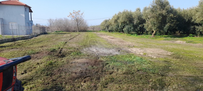 Αγροτεμάχια 1.300 τ.μ. πρός πώληση, Ν. Καβάλας, Παγγαίο