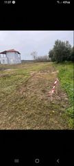 Αγροτεμάχια 1.300 τ.μ. πρός πώληση, Ν. Καβάλας, Παγγαίο-thumb-5