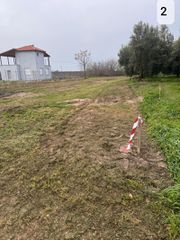 Αγροτεμάχια 1.300 τ.μ. πρός πώληση, Ν. Καβάλας, Παγγαίο-thumb-4
