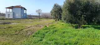 Αγροτεμάχια 1.300 τ.μ. για πώληση