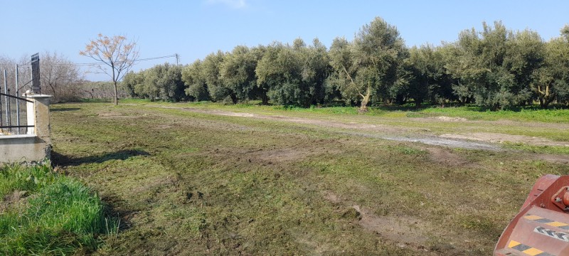 Αγροτεμάχια 1.300 τ.μ. πρός πώληση, Ν. Καβάλας, Παγγαίο