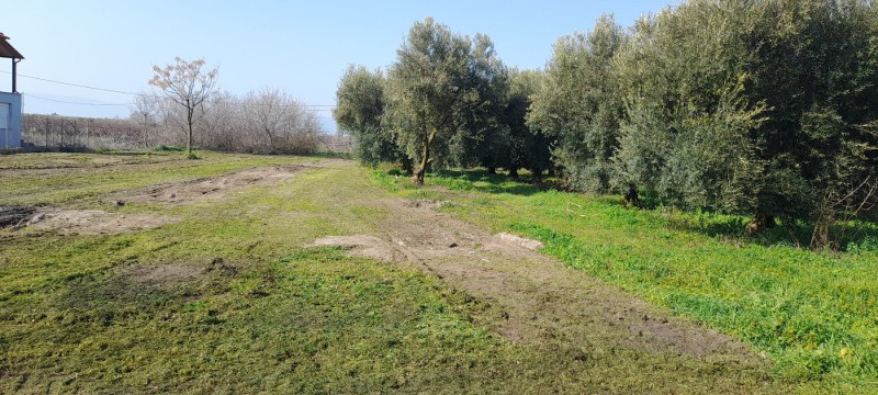 Αγροτεμάχια 1.300 τ.μ. πρός πώληση, Ν. Καβάλας, Παγγαίο