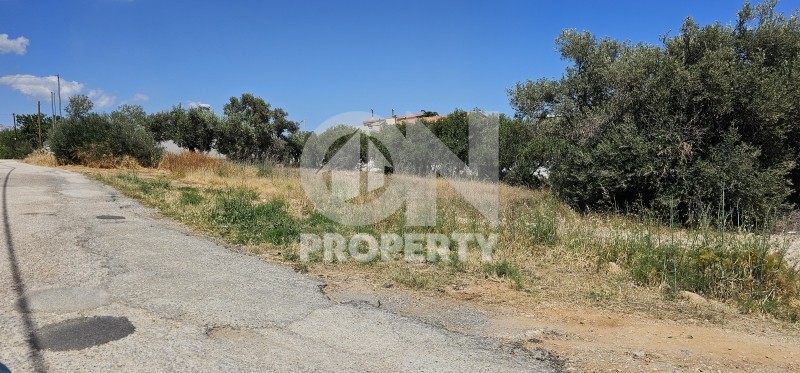 Οικόπεδο 349 τ.μ. πρός πώληση, Αθήνα - Ανατολικά Προάστια, Παιανία