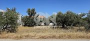 Land plot 349sqm for sale-Paiania » Agios Andreas