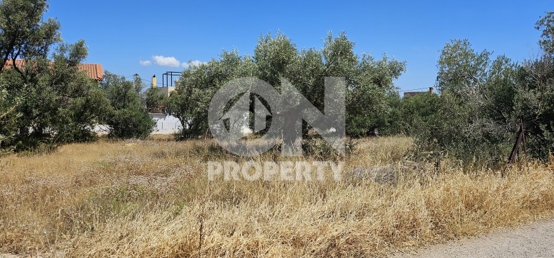 Οικόπεδο 349 τ.μ. πρός πώληση, Αθήνα - Ανατολικά Προάστια, Παιανία