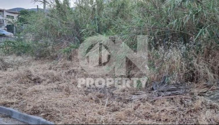 Land plot 1.570 sqm for sale, Athens - East, Glika Nera