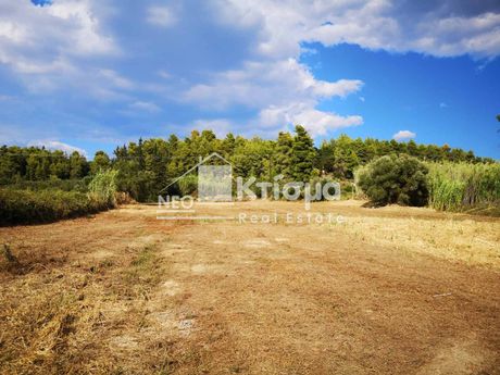 Οικόπεδο 5.181τ.μ. για πώληση-Αρχαία ολυμπία » Στρέφη