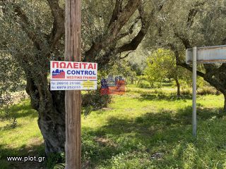 Αγροτεμάχια 732 τ.μ. για πώληση