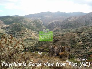 Οικόπεδο 4.900 τ.μ. προς πώληση, Πολυρρηνία-thumb-5