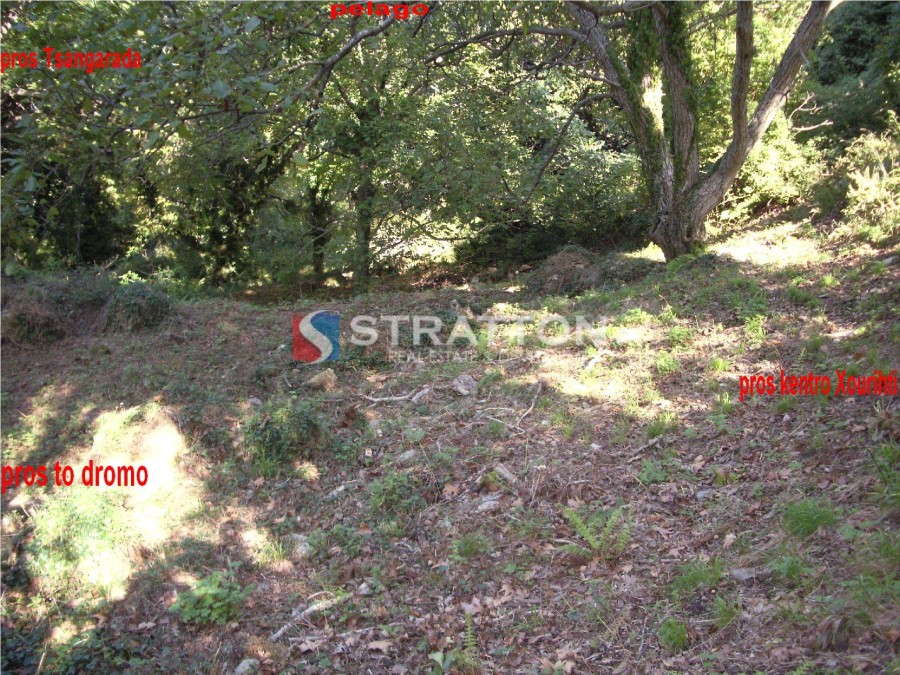 Οικόπεδο 1.863 τ.μ. πρός πώληση, Μαγνησία, Ζαγορά
