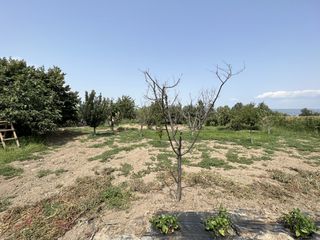Μονοκατοικία 40 τ.μ. για πώληση, Ν. Καβάλας, Ελευθερούπολη-thumb-11