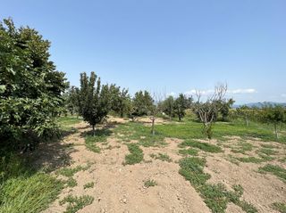 Μονοκατοικία 40 τ.μ. για πώληση, Ν. Καβάλας, Ελευθερούπολη-thumb-9