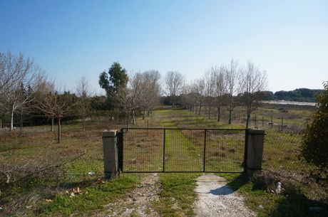 Αγροτεμάχια 1.880τ.μ. για πώληση-Ελευθερές » Άγιος αθανάσιος