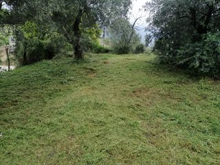 Αναλαμβάνω κοπή χόρτων στην ευρύτερη περιοχή του Βολου