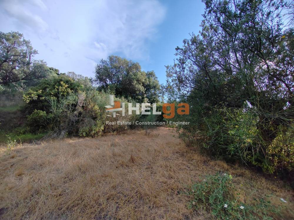 Οικόπεδο 4.222 τ.μ. προς πώληση, Γουμενιτσάνικα