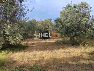 Οικόπεδο 4.222 τ.μ. προς πώληση, Γουμενιτσάνικα-thumb-9