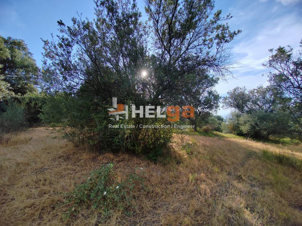 Οικόπεδο 4.222 τ.μ. προς πώληση, Γουμενιτσάνικα