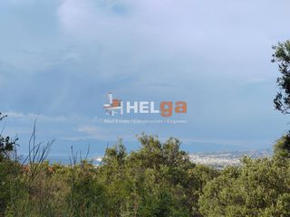 Οικόπεδο 4.222 τ.μ. προς πώληση, Γουμενιτσάνικα-thumb-6