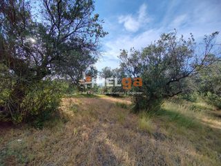 Οικόπεδο 4.222 τ.μ. προς πώληση, Γουμενιτσάνικα-thumb-3