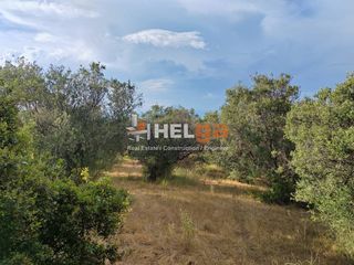 Οικόπεδο 4.222 τ.μ. προς πώληση, Γουμενιτσάνικα-thumb-5