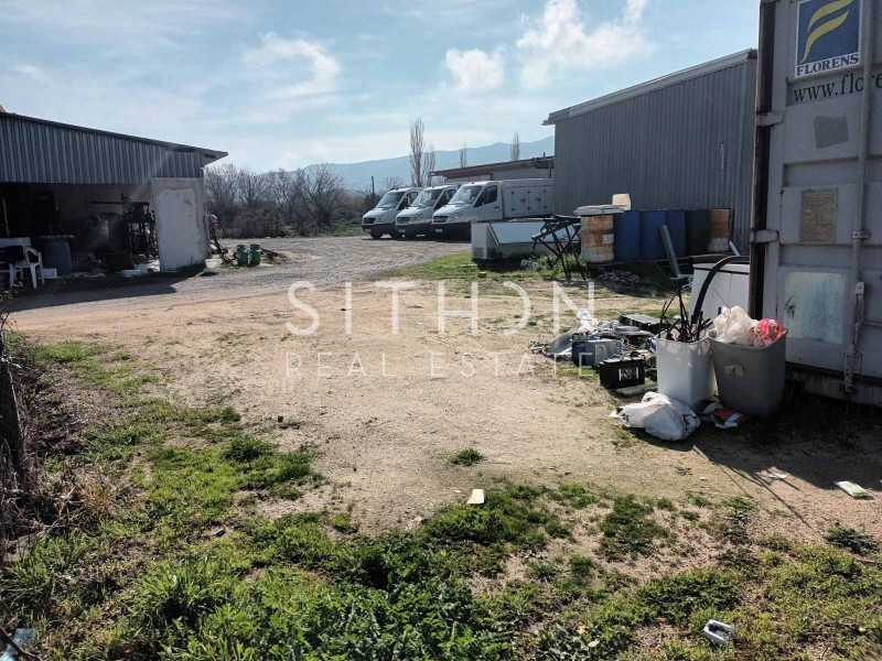 Αγροτεμάχια 149 τ.μ. προς πώληση, Συκιά Τορώνης