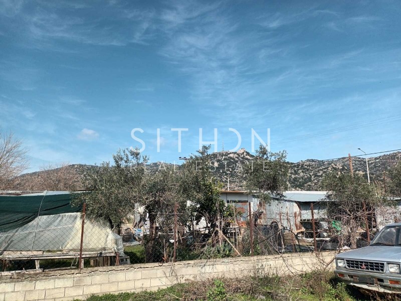 Αγροτεμάχια 149 τ.μ. προς πώληση, Συκιά Τορώνης
