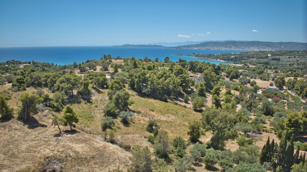 Αγροτεμάχια 4.784 τ.μ. προς πώληση, Άγιος Αιμιλιανός