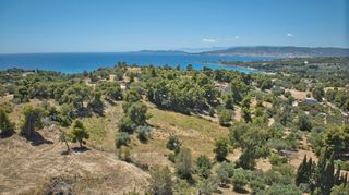 Αγροτεμάχια 4.784 τ.μ. προς πώληση, Άγιος Αιμιλιανός-thumb-3