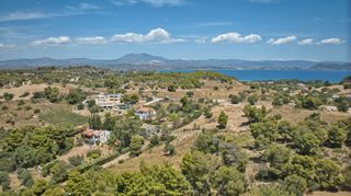 Αγροτεμάχια 4.784 τ.μ. προς πώληση, Άγιος Αιμιλιανός-thumb-16