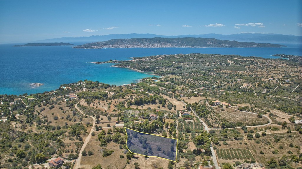 Αγροτεμάχια 4.784 τ.μ. προς πώληση, Άγιος Αιμιλιανός