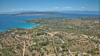 Αγροτεμάχια 4.784 τ.μ. προς πώληση, Άγιος Αιμιλιανός-thumb-10