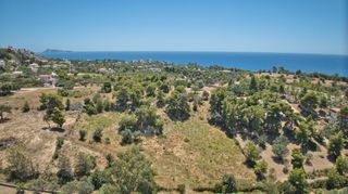 Αγροτεμάχια 4.784 τ.μ. προς πώληση, Άγιος Αιμιλιανός-thumb-15