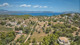 Αγροτεμάχια 4.784 τ.μ. προς πώληση, Άγιος Αιμιλιανός-thumb-6