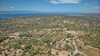 Αγροτεμάχια 4.784 τ.μ. προς πώληση, Άγιος Αιμιλιανός-thumb-9