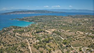 Αγροτεμάχια 4.784 τ.μ. προς πώληση, Άγιος Αιμιλιανός-thumb-11