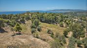 Parcel 4.784sqm for sale-Kranidi » Agios Aimilianos