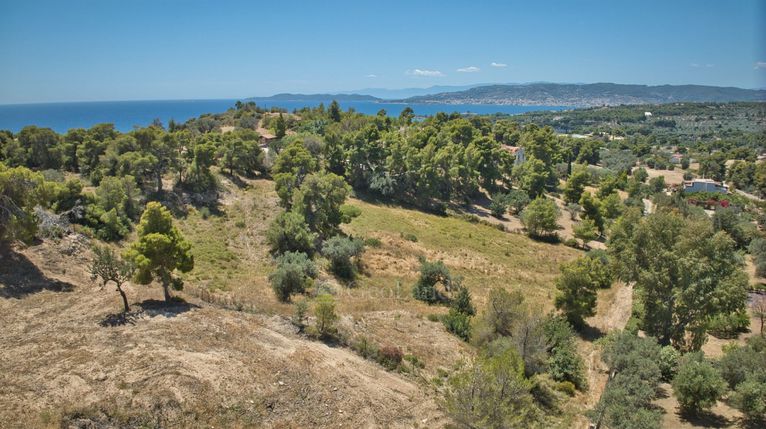 Αγροτεμάχια 4.784 τ.μ. για πώληση, Αργολίδα, Κρανίδι