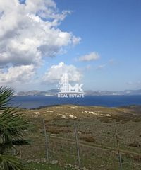 Αγροτεμάχια 12.890 τ.μ. για πώληση