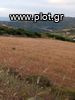 Parcel 3.000sqm for sale-Rio » Argira