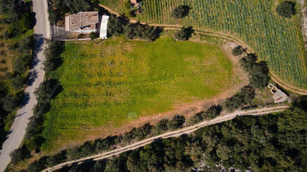 Αγροτεμάχια 4.500 τ.μ. προς πώληση, Κάντια