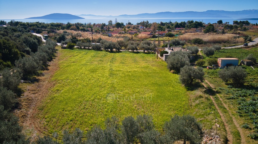 Αγροτεμάχια 4.500 τ.μ. προς πώληση, Κάντια