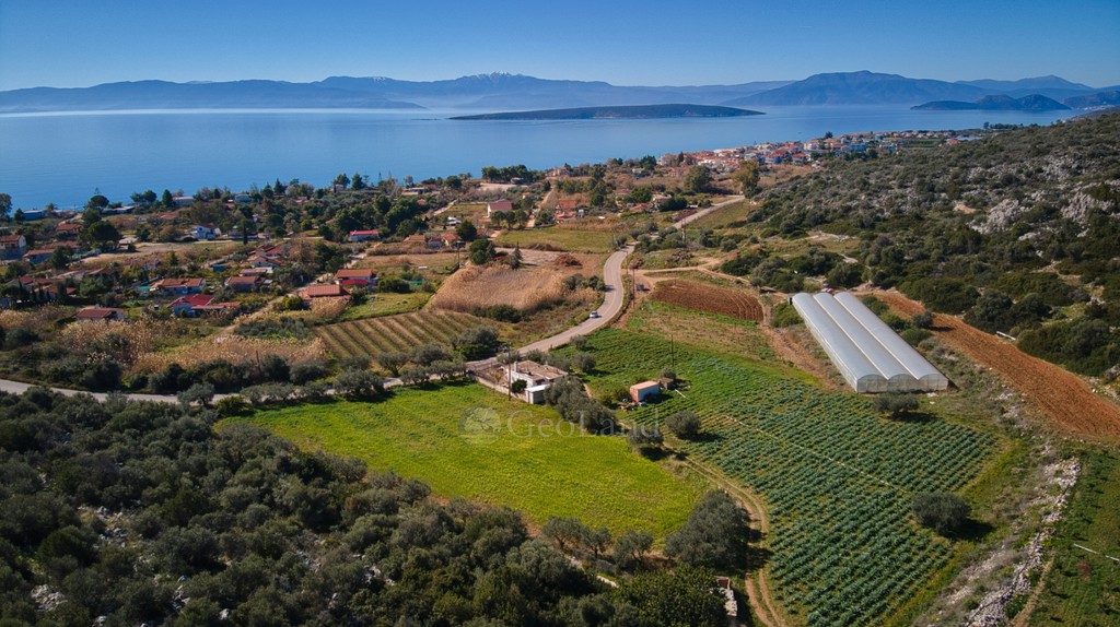Αγροτεμάχια 4.500 τ.μ. προς πώληση, Κάντια