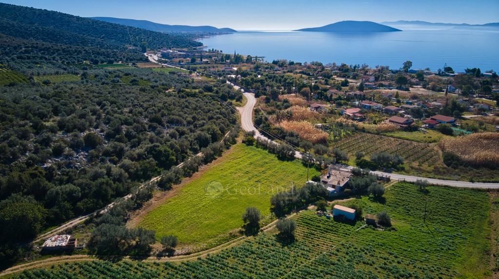 Αγροτεμάχια 4.500 τ.μ. προς πώληση, Κάντια