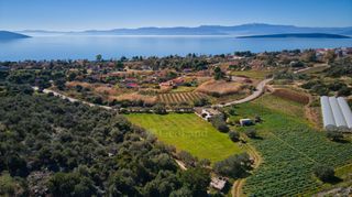 Αγροτεμάχια 4.500 τ.μ. για πώληση