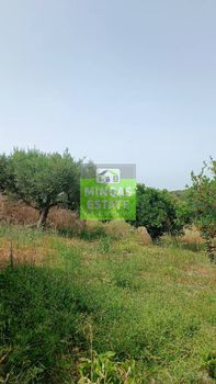 Οικόπεδο 3.500 τ.μ. για πώληση