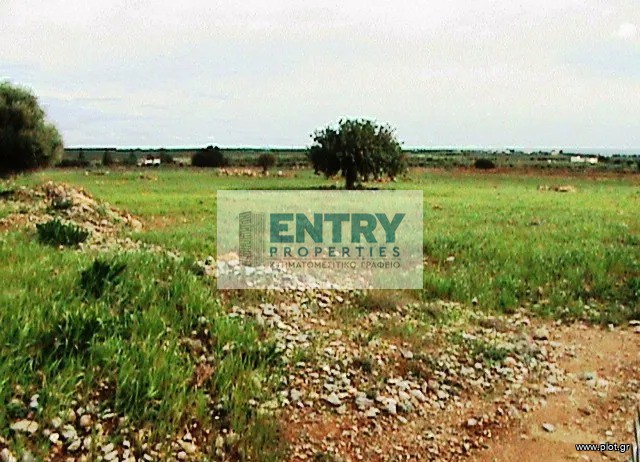 Οικόπεδο 14.033 τ.μ. προς πώληση, Παράδεισος Σφακίων