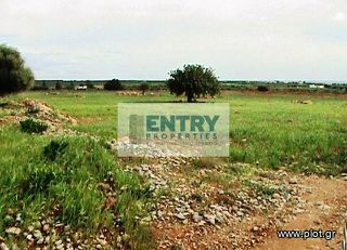 Οικόπεδο 14.033 τ.μ. για πώληση, Ν. Χανίων, Σφακιά-thumb-1